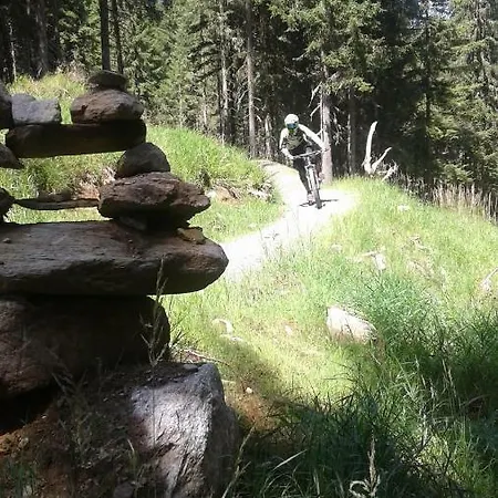 福来吧公寓 巴德小基希海姆